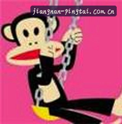 赵敏